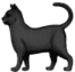 black_cat