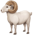 :ram: