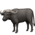 :water_buffalo: